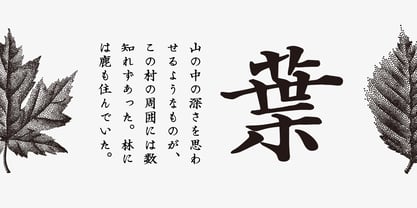 Iwata Seichou Font Poster 2