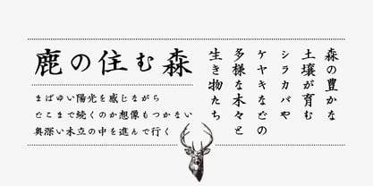 Iwata Seichou Font Poster 3