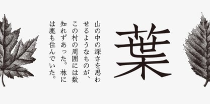 Iwata Souchou Pro Font Poster 2