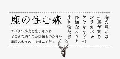 Iwata Souchou Pro Font Poster 3