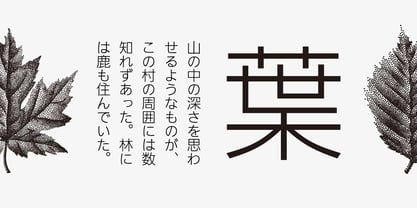 Iwata UD Gothic Font Poster 2