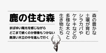 Iwata UD Gothic Font Poster 3