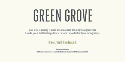 Green Grove Font Poster 8
