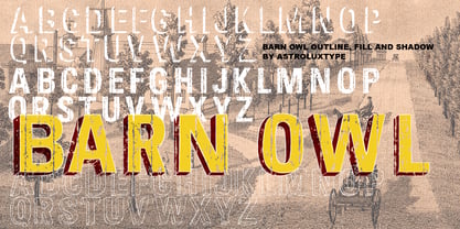 Barn Owl Font Poster 3