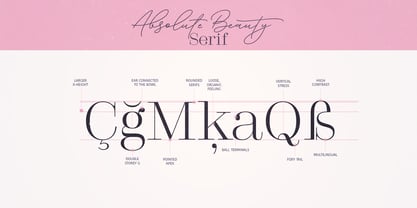 Absolute Beauty Font Poster 10
