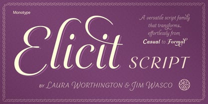 Elicit Script Font Poster 1