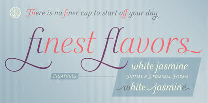 Elicit Script Font Poster 7