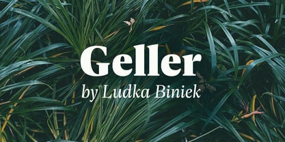 Geller Font Poster 1