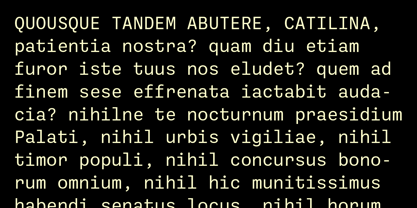 Ballinger Mono Font Poster 5