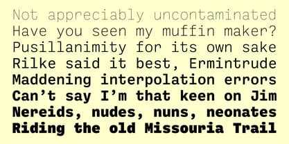 Ballinger Mono Font Poster 3