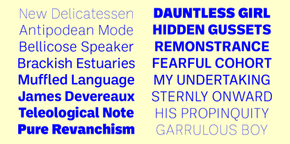 Ballinger Font Poster 3