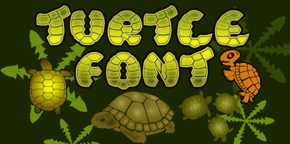 Turtle Font Poster 1