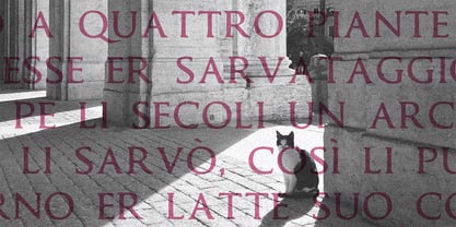 Romolo Font Poster 4
