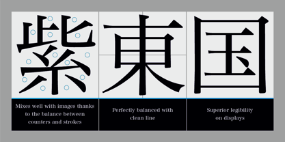 Hiragino Serif Font Poster 2