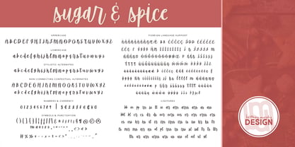 Sugar & Spice Font Poster 8