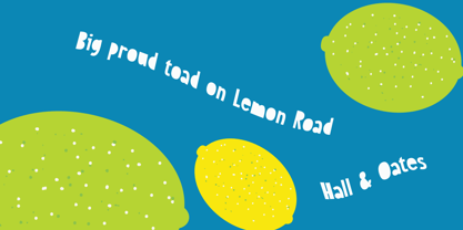 Sweet Lemon Font Poster 2