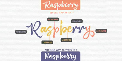 Brushberry Font Poster 11