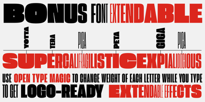 Extenda Font Poster 14