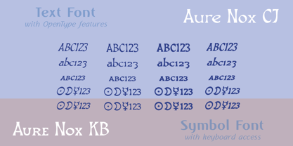 Aure Nox Font Poster 5