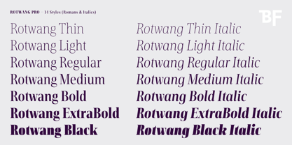 BF Rotwang Pro Font Poster 14