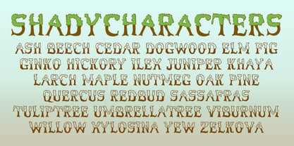 ShadyCharacters Font Poster 4