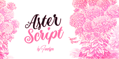 Aster Script Font Poster 7