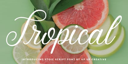 Stoic Font Poster 7