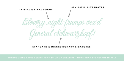 Stoic Font Poster 2