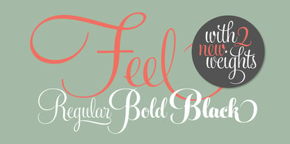 Feel Script Font Poster 4