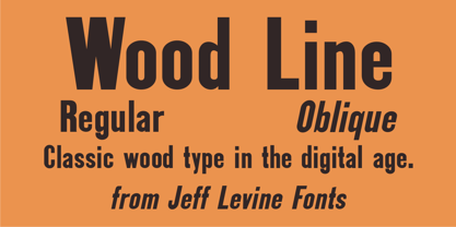Wood Line JNL Font Poster 1