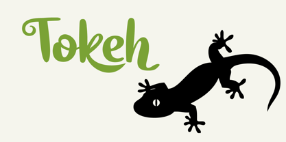 Tokeh Font Poster 5