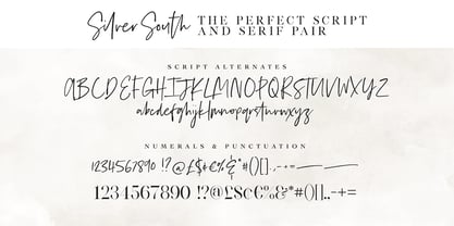 Silver South Font Poster 10