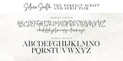 Silver South Font Poster 9