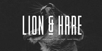 Lion and Hare Font Poster 6