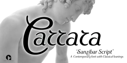 Sanzibar Script Font Poster 5