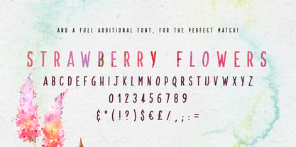 Strawberry Blossom Font Poster 1