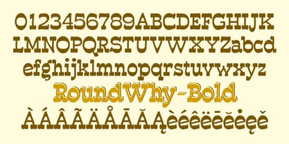 RoundWhy Font Poster 3