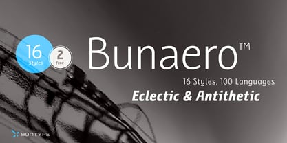 Bunaero Fuente Póster 1