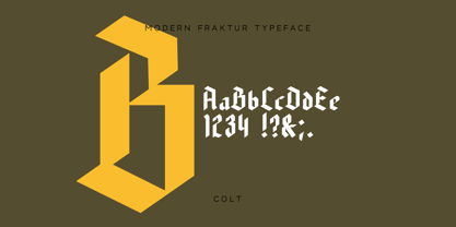 Beloid Gothic Font Poster 5