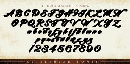 LHF Black Rose Script Police Poster 8