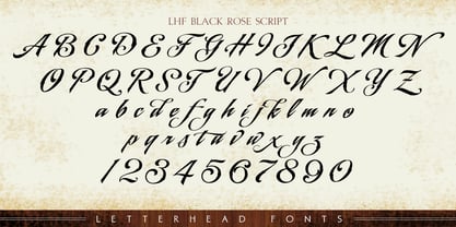 LHF Black Rose Script Font Poster 6