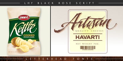 LHF Black Rose Script Police Poster 2