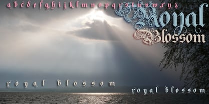 Royal Blossom Font Poster 1