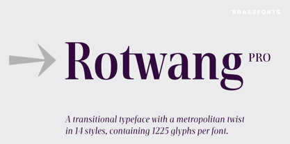 BF Rotwang Pro Font Poster 1