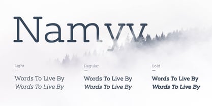 Namyv Font Poster 3