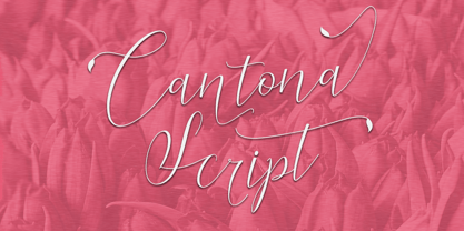 Cantona Script Font Poster 5