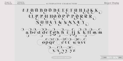 Borgest Display Font Poster 11