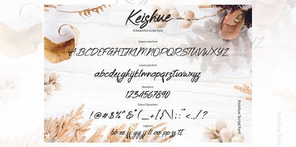 Keishue Font Poster 1