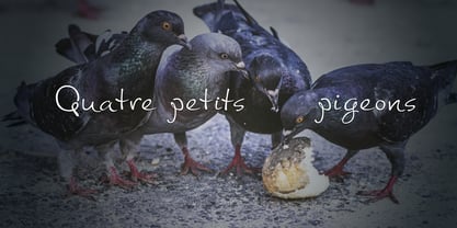 Pigeon Script Font Poster 1