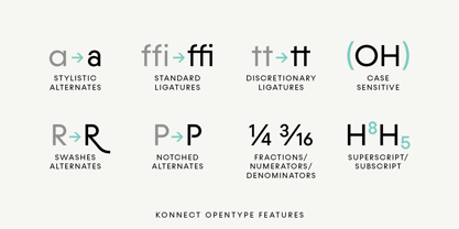 Konnect Fuente Póster 14